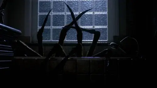 Night Spider