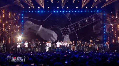 Solidarité Incendies - Le Grand Concert en direct