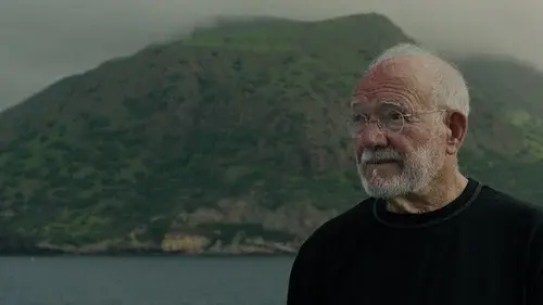 Chão Verde de Pássaros Escritos