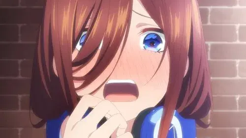 ​五等分の花嫁∽