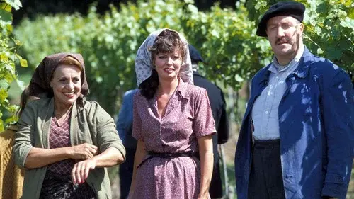 'Allo 'Allo!