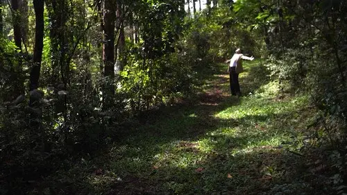 Cidade Natureza