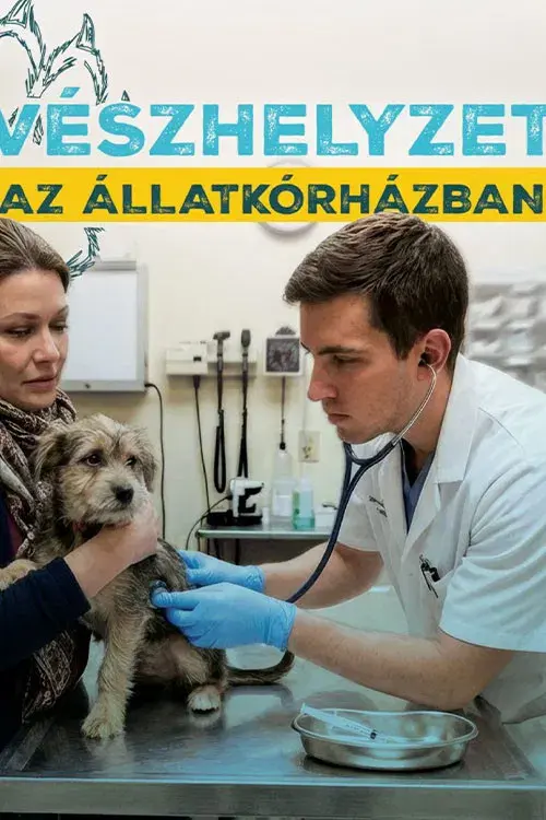 Vészhelyzet az állatkórházban