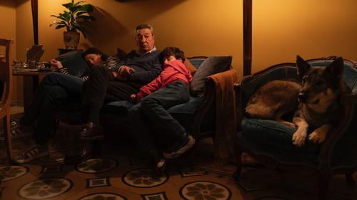 Damned If You Do, Damned If You Don't