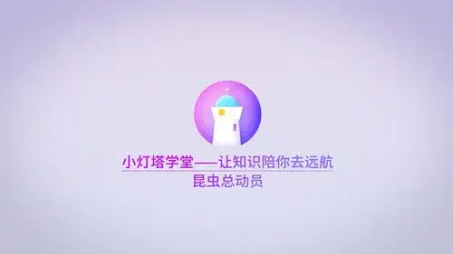 昆虫世界儿童动画