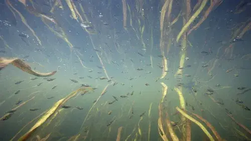 Nederland onder water