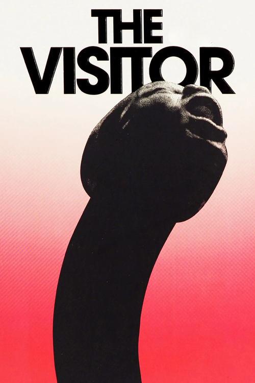 The Visitor