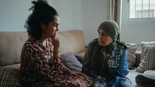 The Flight of the Stork