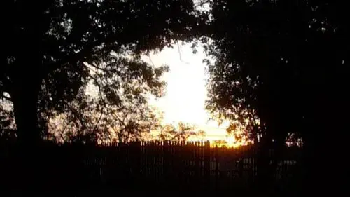 Garden Sanctuary