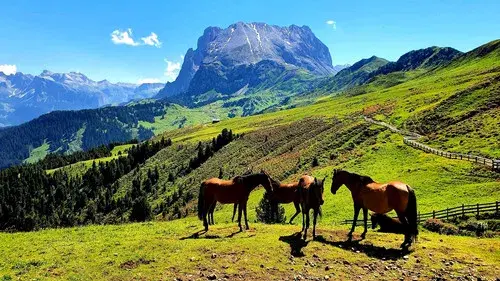 La Grande Bellezza - Vite segrete e luoghi nascosti d'Italia