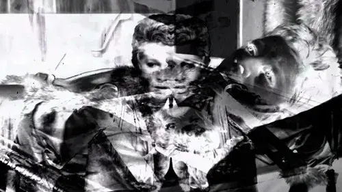 Stripped Of Fragile Armor