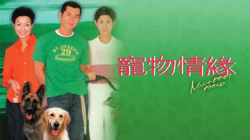 寵物情緣