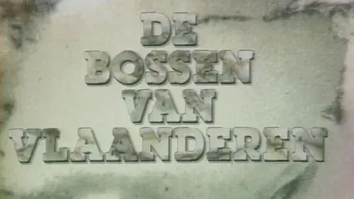 De Bossen Van Vlaanderen