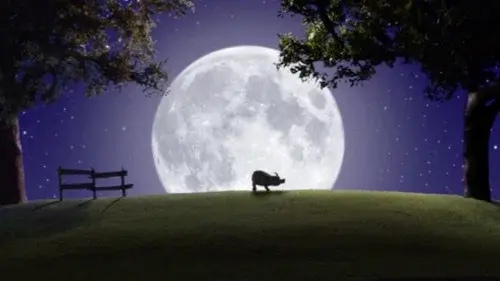 The Werepig