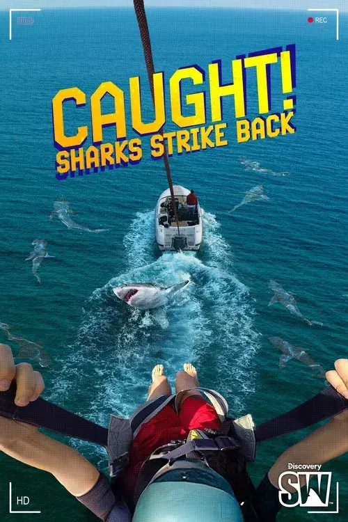 Caught! Sharks Strike Back