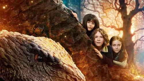 Valdes Jul - Vintermiraklet