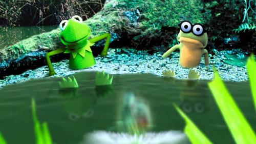 Kermit's Swamp Years