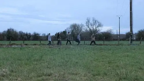 Les Ombrageux