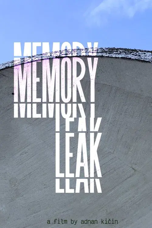 Memory Leak