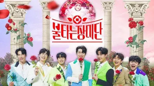 불타는 장미단