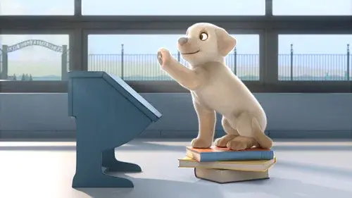 Pip