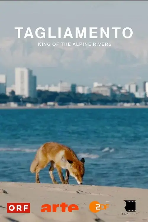 Tagliamento – König der Alpenflüsse
