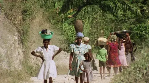 Bitter Cane