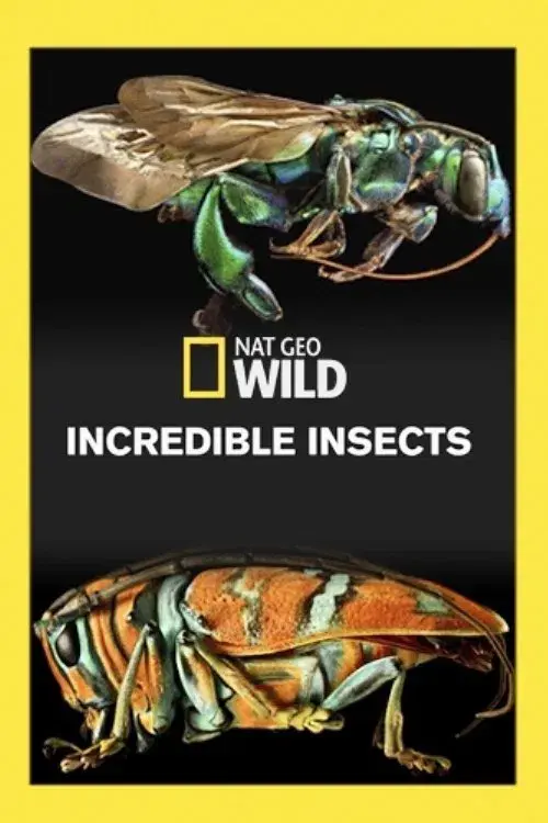 Incredible Insects