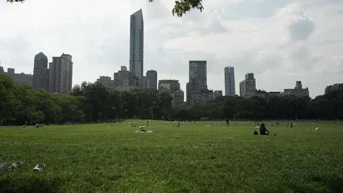 The Voices of New York