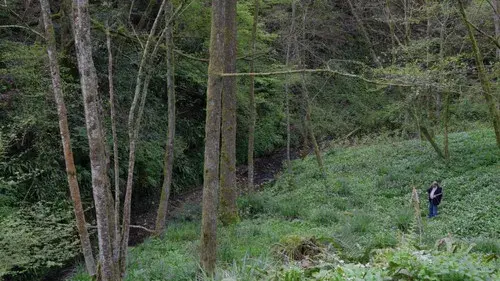 A look at the artwork