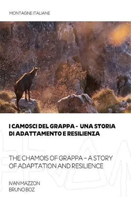 I camosci del grappa - una storia di adattamento e resilienza