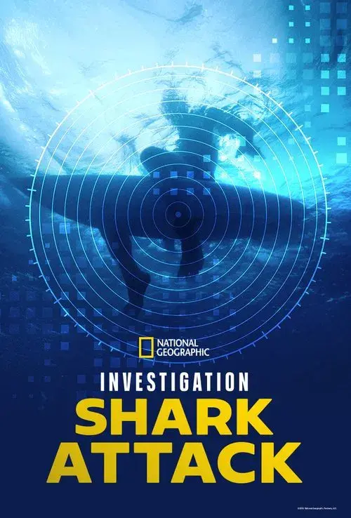Investigation Shark Attack