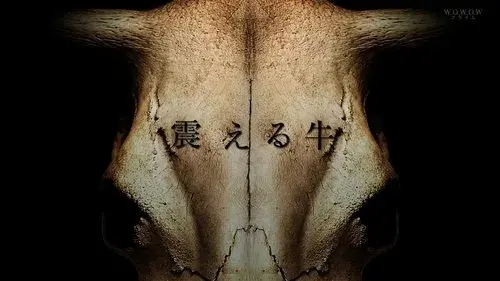 震える牛