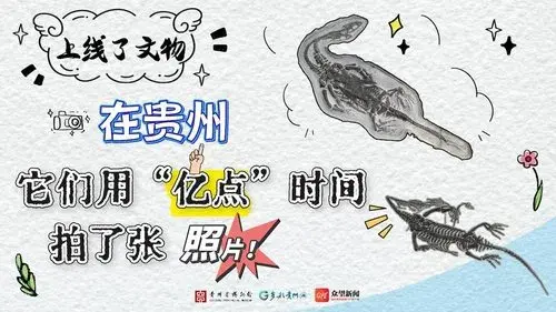 上线了文物