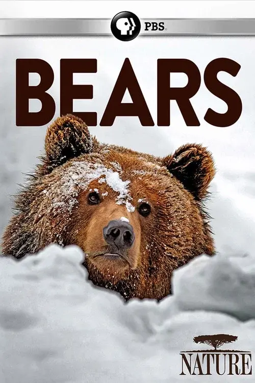 Nature: Bears