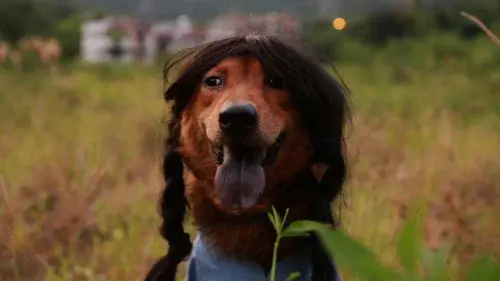 Carry On Carry Me