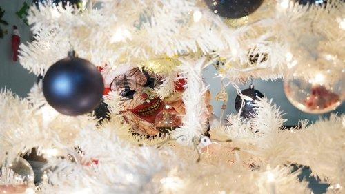 Camp Blood Christmas