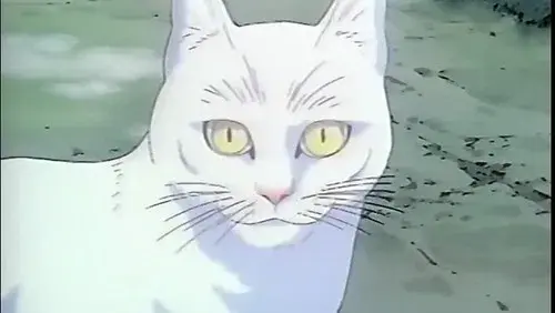 Licca the Movie: Licca-chan to Yamaneko Hoshi no Tabi