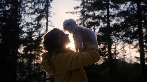 Small Dogs Bark Loud