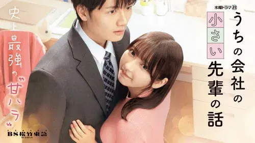 うちの会社の小さい先輩の話