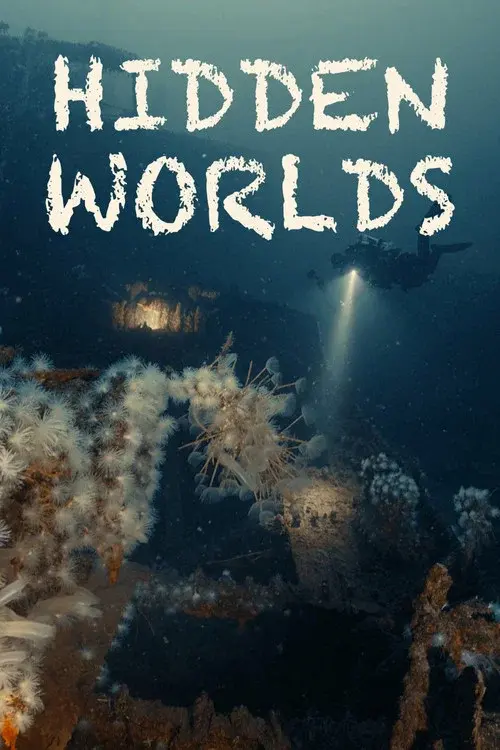 Hidden Worlds