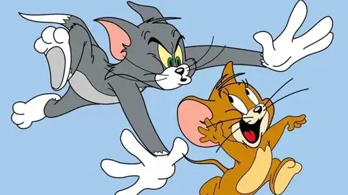 猫和老鼠(DVD版)