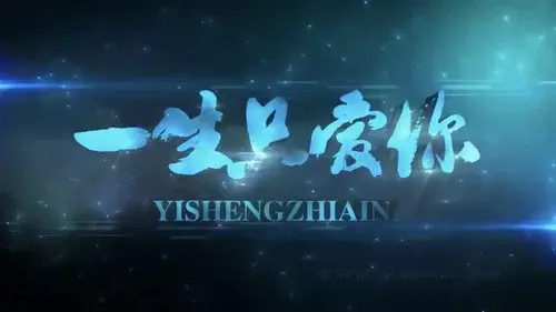 一生只爱你