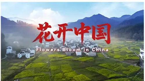 花开中国