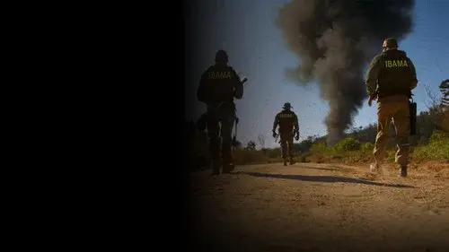 Operação Guerra Verde