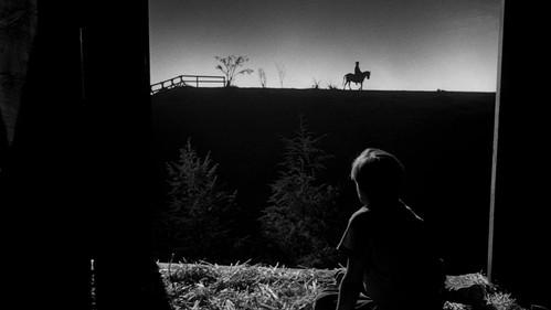 The Night of the Hunter