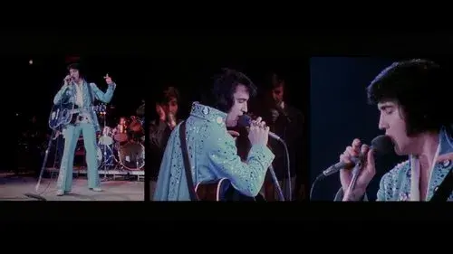 Elvis on Tour