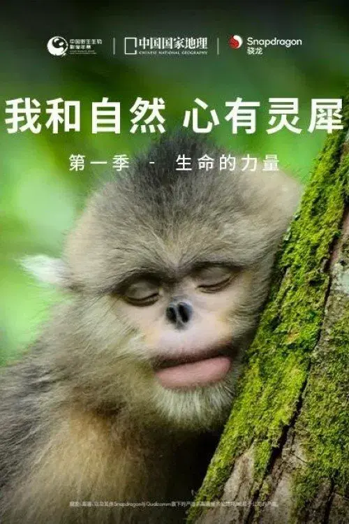 我和自然 心有灵犀