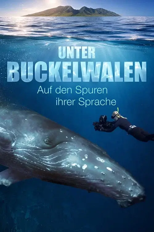 Unter Buckelwalen - Auf den Spuren ihrer Sprache