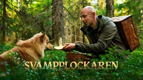 Svampplockaren